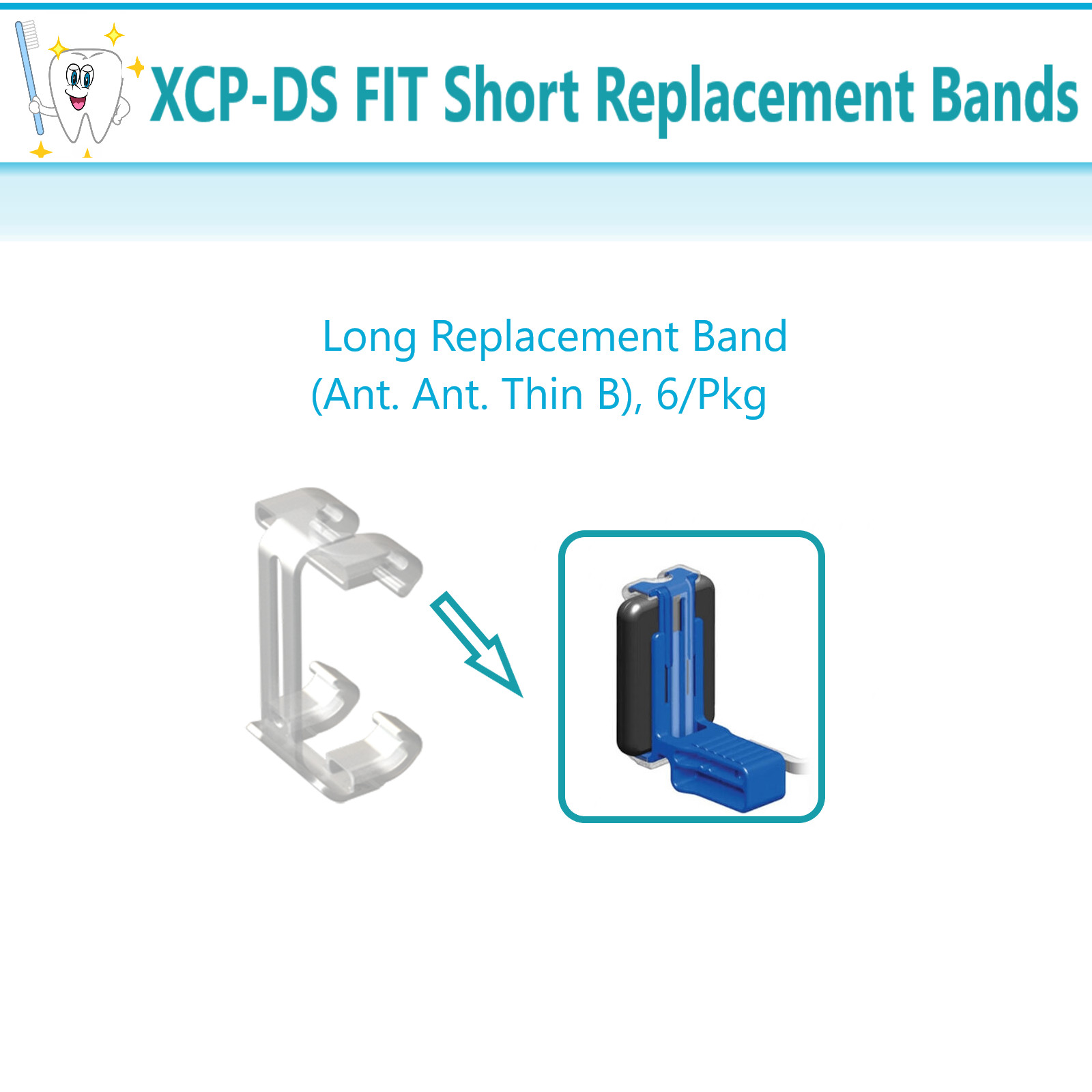 Dental X-Ray XCP-DS Fit Bands Long Replacement Band (Ant. Ant. Thin B), 6/Pkg
