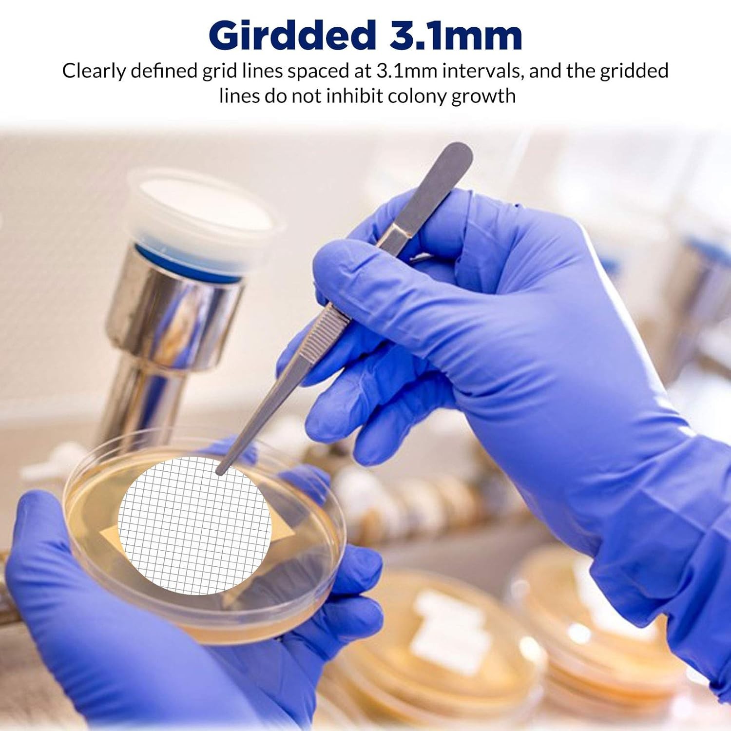 100 x MCE Membrane Filter, Membrane Solutions Lab Supply Sterile MCE Gridded Mem