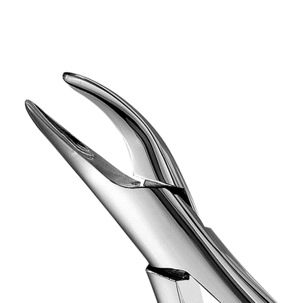 HU FRIEDY 69 Tomes Forceps