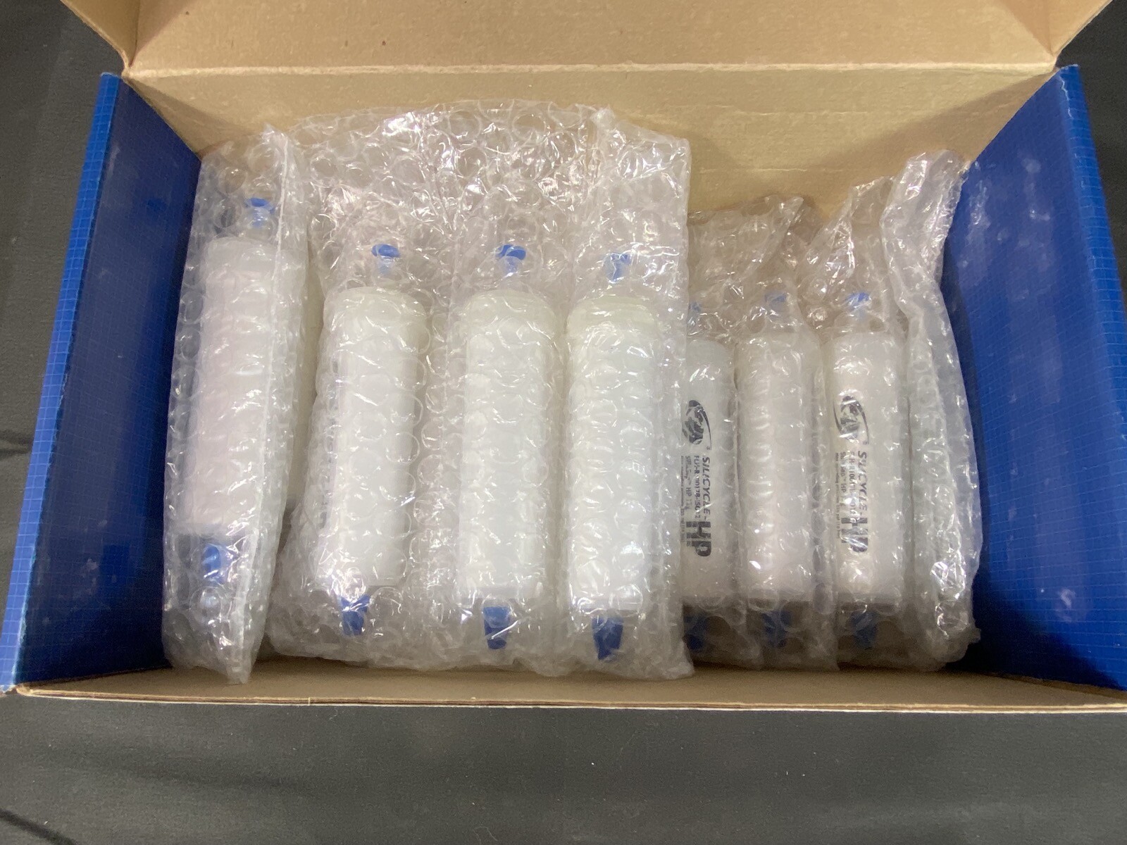 SILICYCLE Silica Gel 12g 15-40µm Flash Cartridge FLH-R10017B-ISO12 (12/pk)