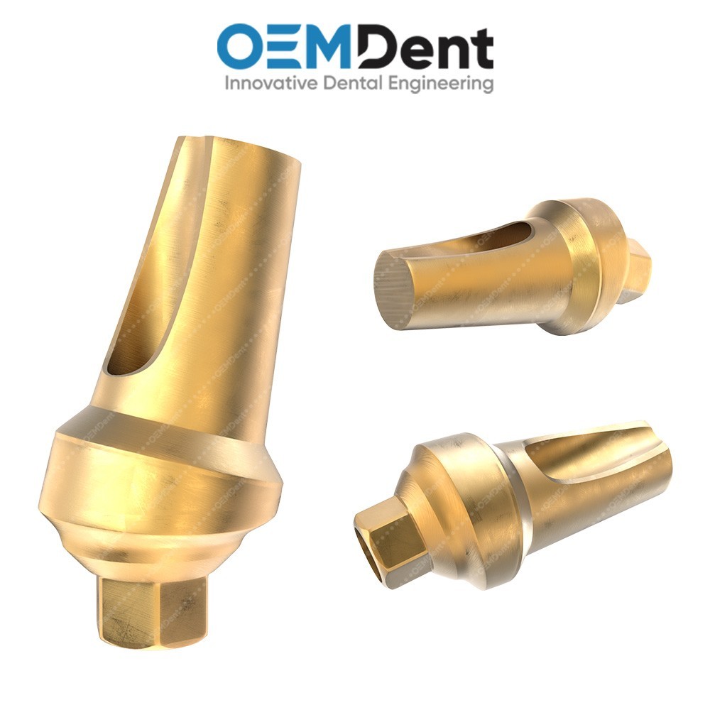 Angulated Transfer Prosthetic 15° + Snap-On Cap, Hex 2.42mm, Paltop® Compatible