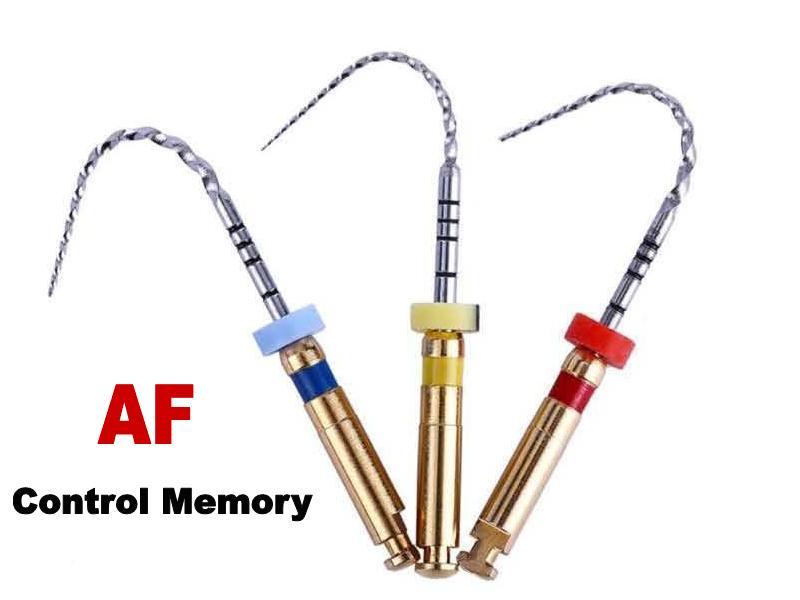 Dental USA Endo root canal AF Control Memory Hyflex M3 NiTi Files 25 MM