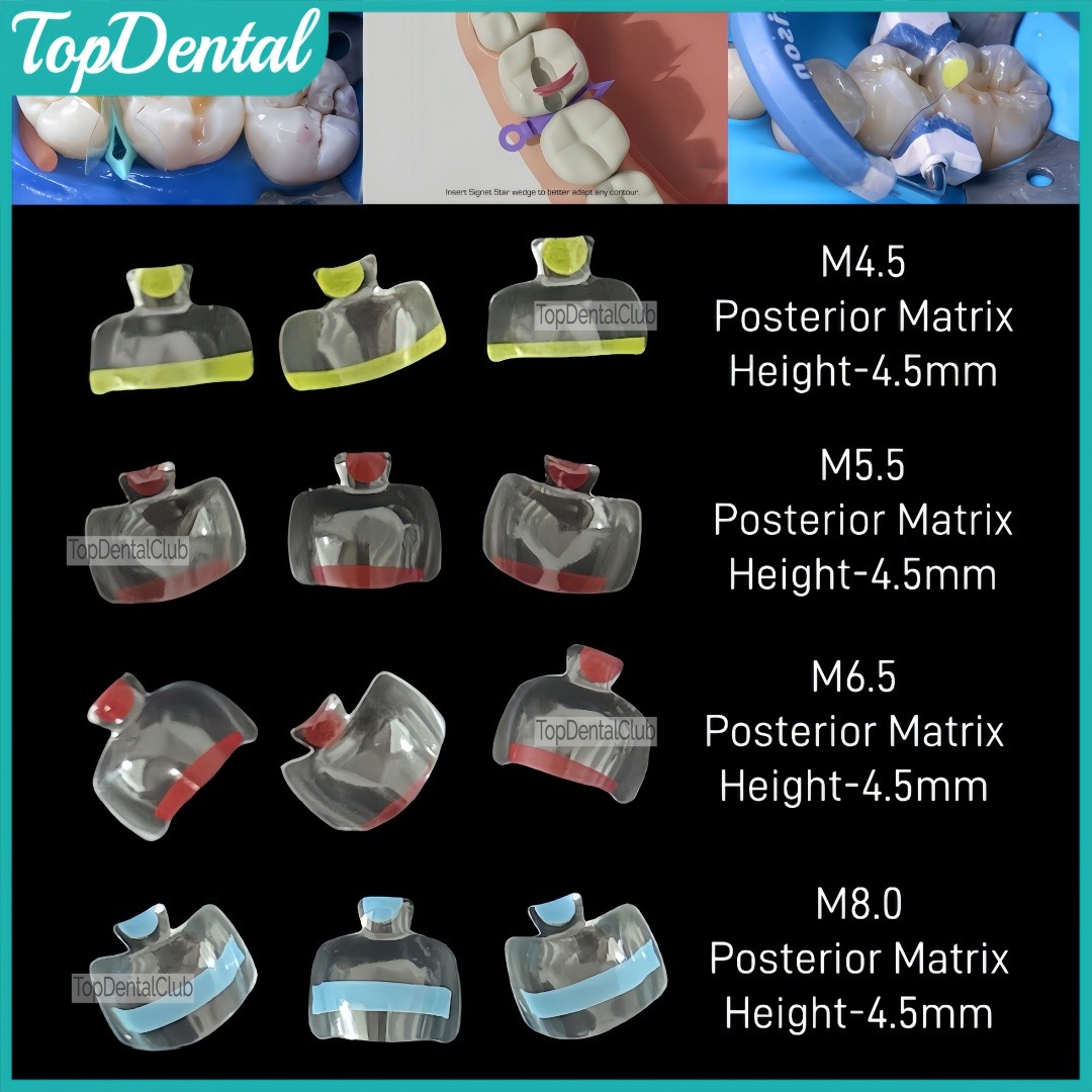 USA Clear Matrix Dental Anterior Posterior Transparent BT Matrices Fits BioClear