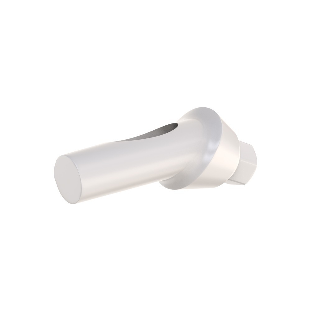 10pcs DSl Angulated Abutments Anatomic Peek With Screws 25° Internal Hex