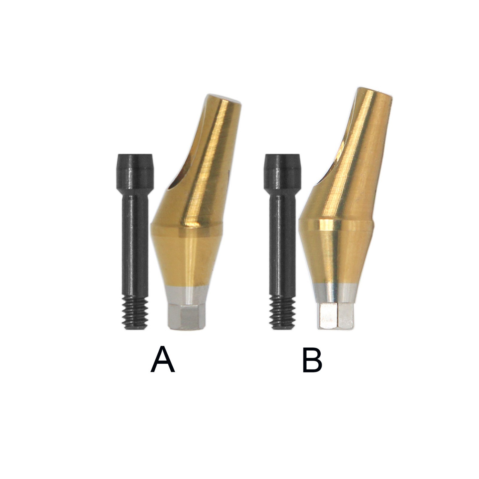 Dental 17° Angled Abutment Anatomic Fits Hiossen Osstem TS Hex Mini Platform