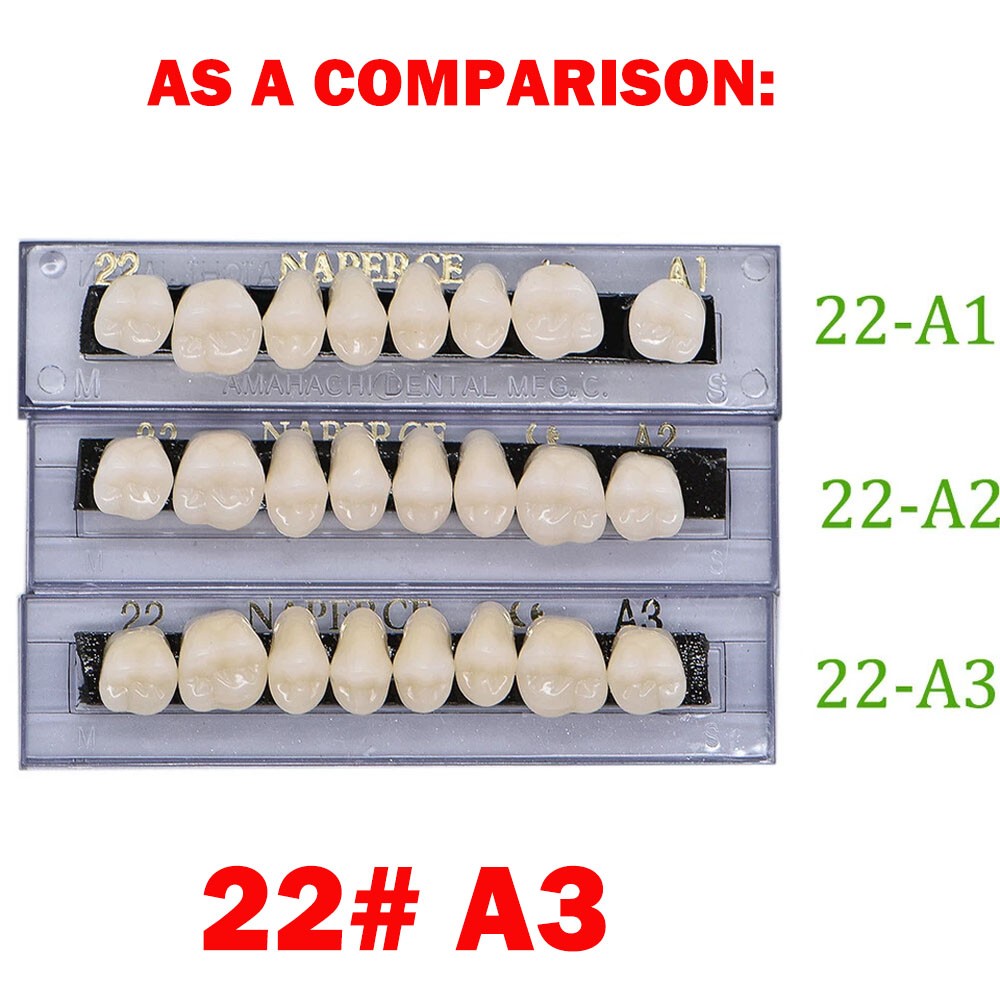 336Pc Dental Acrylic Resin Denture 22#A3 Full Set Teeth Upper Lower Shade Tooth
