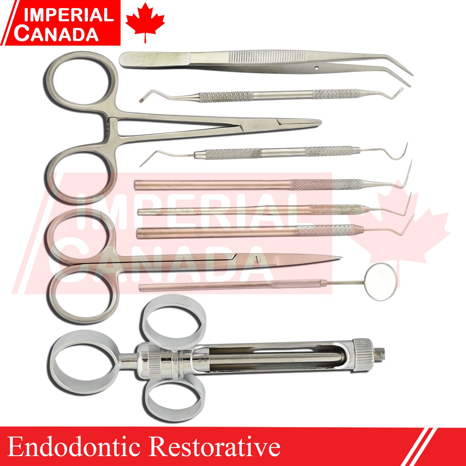 Endodontic Diagnosic Kit Root Canal Restorative Instruments Set Of 9 DS-2228