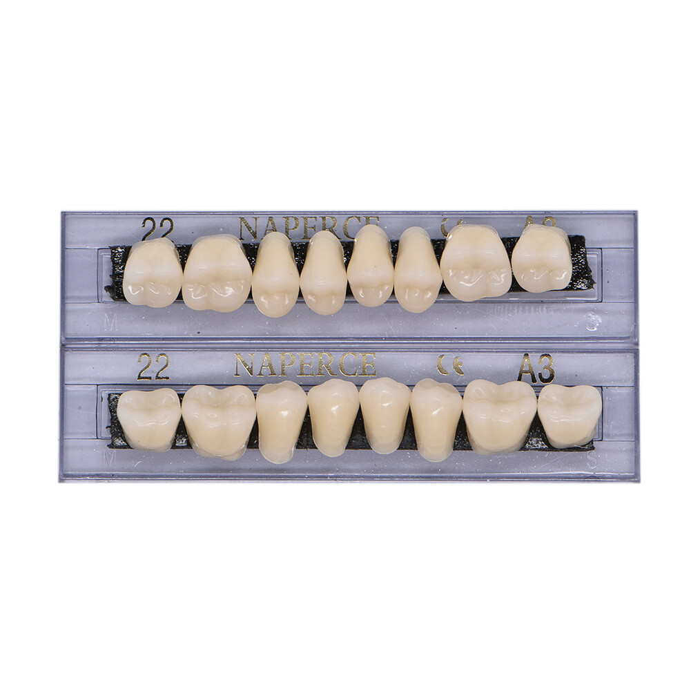 336Pc Dental Acrylic Resin Denture 22#A3 Full Set Teeth Upper Lower Shade Tooth