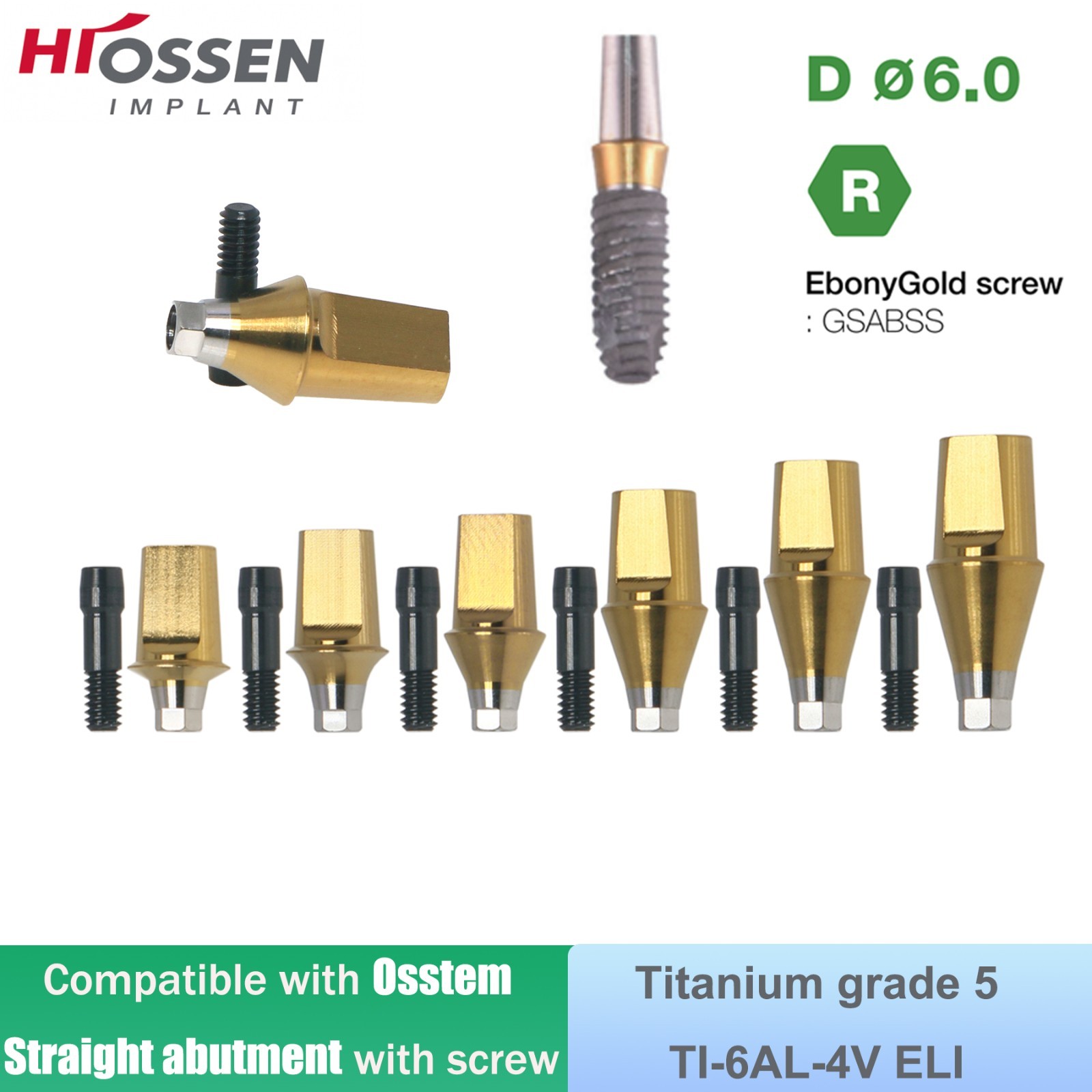 Dental Titanium Straight Abutment Fit Osstem Hiossen ET Regular Cement Retained