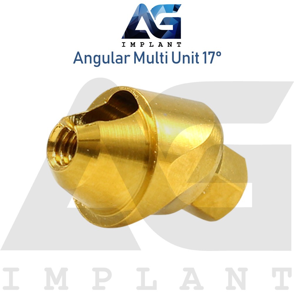 5 Angular Multi Unit 1.6 Prosthetic 17° and Plastic Sleeve With Screw